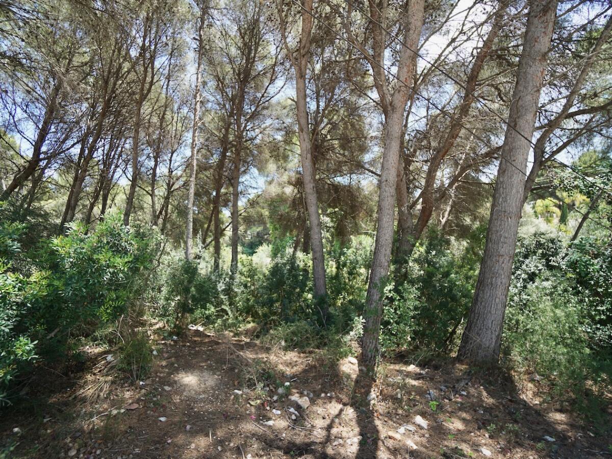 Plot for sale in Moraira La Cometa