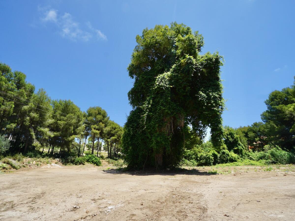 Plot for sale in Moraira La Cometa